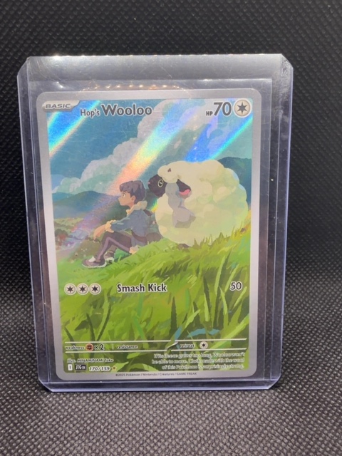Wooloo Full Art 170/159 Pokemon